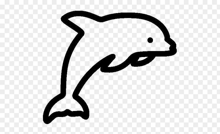 Dolphin Show Clip Art PNG