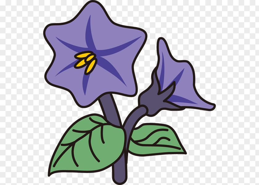 Eggplant Cut Flowers Plant Stem Clip Art PNG