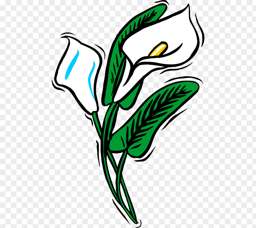 Flower Line Art Plant Stem Clip PNG