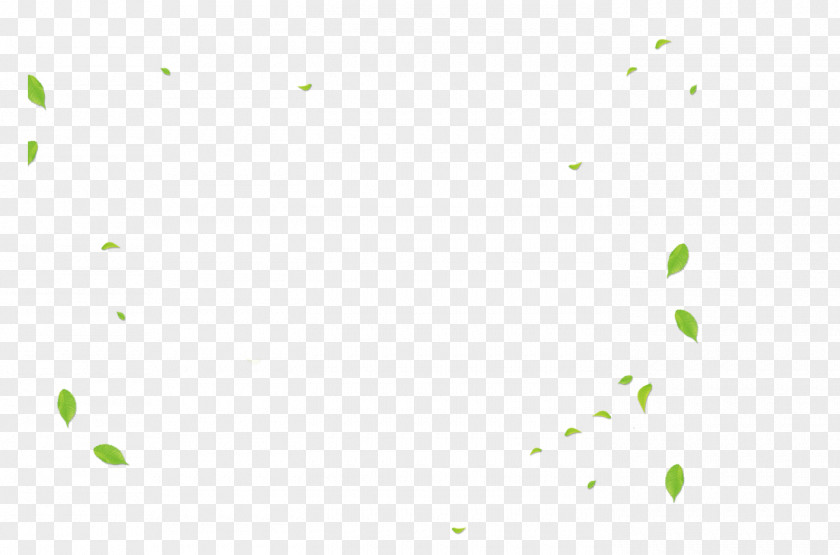 Leaves Angle Area Pattern PNG