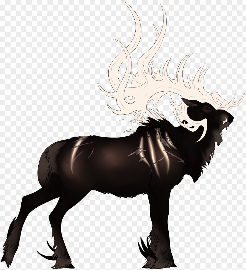 Mustang Stallion Pony Mane Mammal PNG