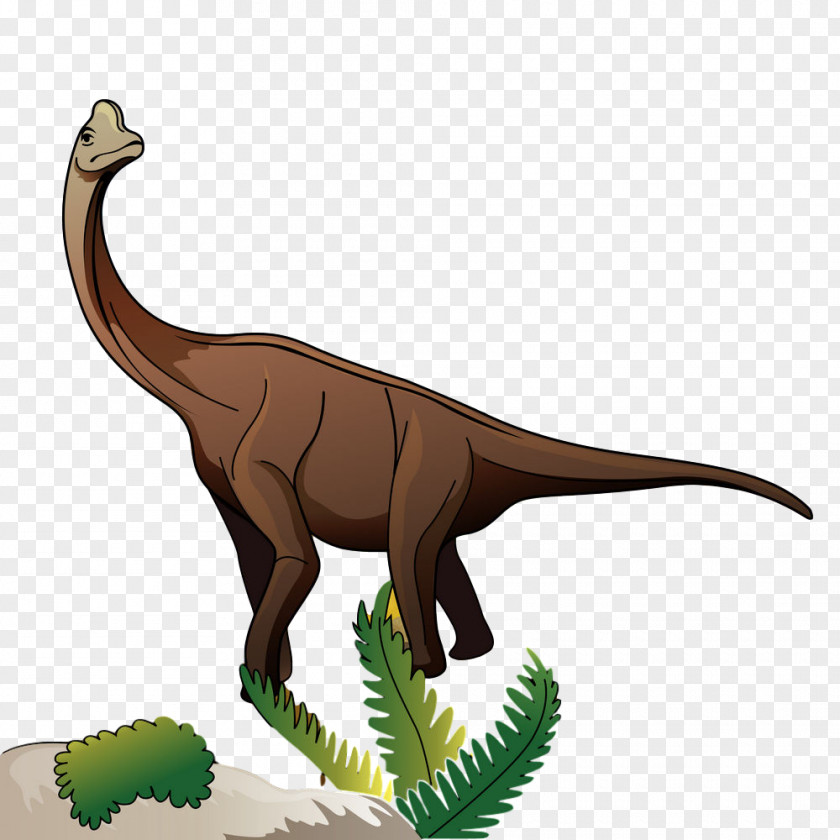Pachycephalosaurus Tyrannosaurus Dinosaur PNG