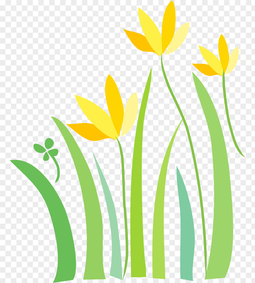 Painted Green Flowers Yellow Floral Design PNG