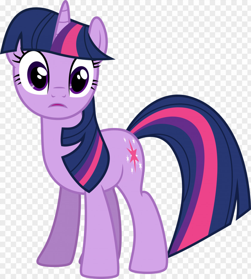 Sparkle Twilight Pony Rarity Rainbow Dash Pinkie Pie PNG