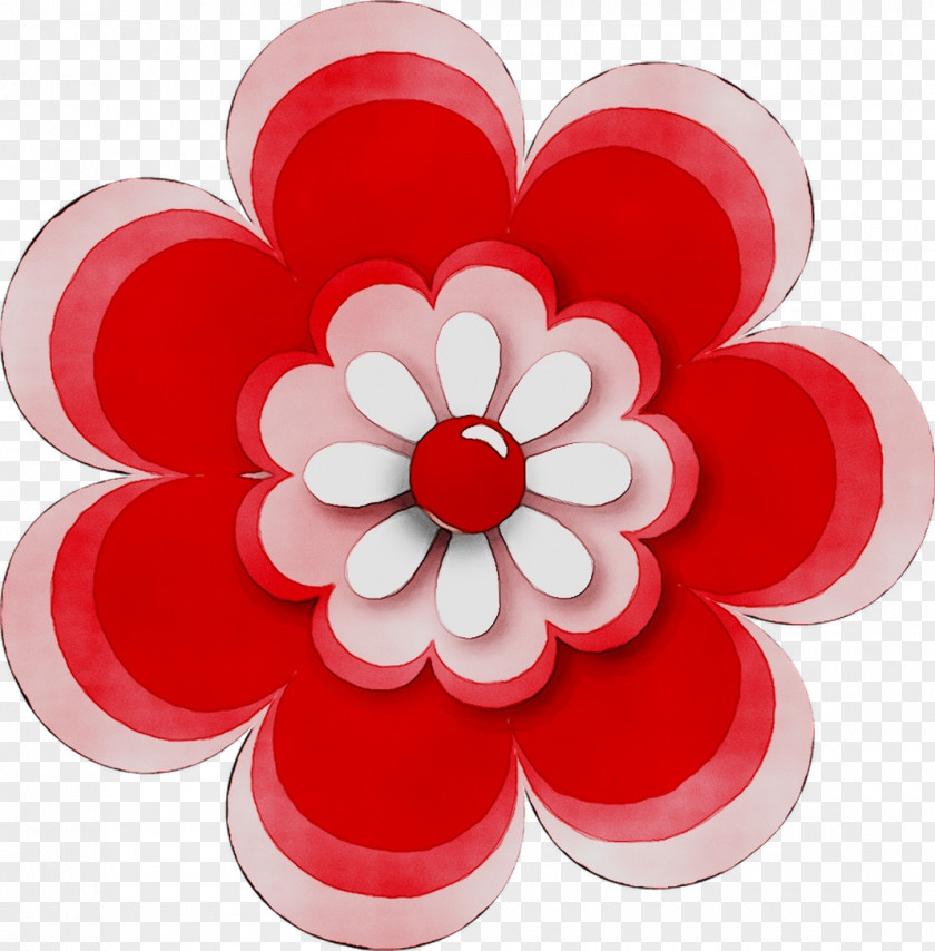 Dahlia Cut Flowers RED.M PNG