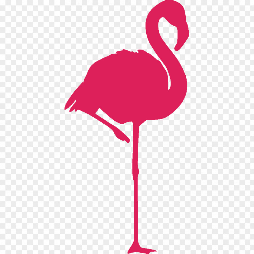 Flamingos Greater Flamingo Bird American Sticker PNG