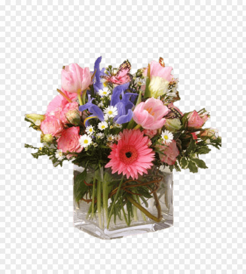 Flower Floral Design Trumbull Shelton Cut Flowers Transvaal Daisy PNG