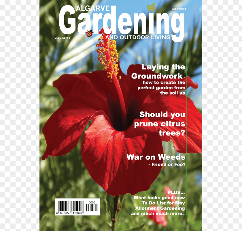 Joy Bauer Shoeblackplant Mediterranean Gardening: A Waterwise Approach Horticulture PNG