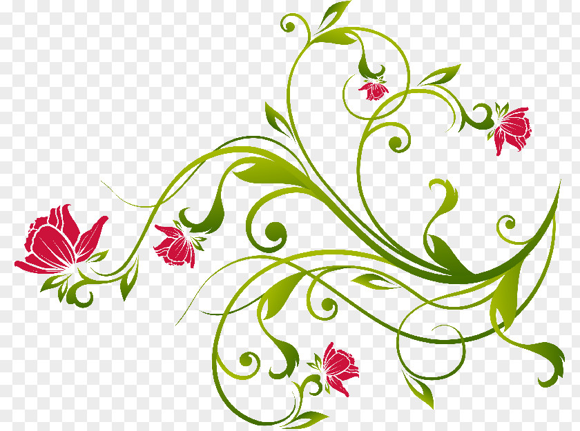 Lovely Decorative Frame Clip Art PNG