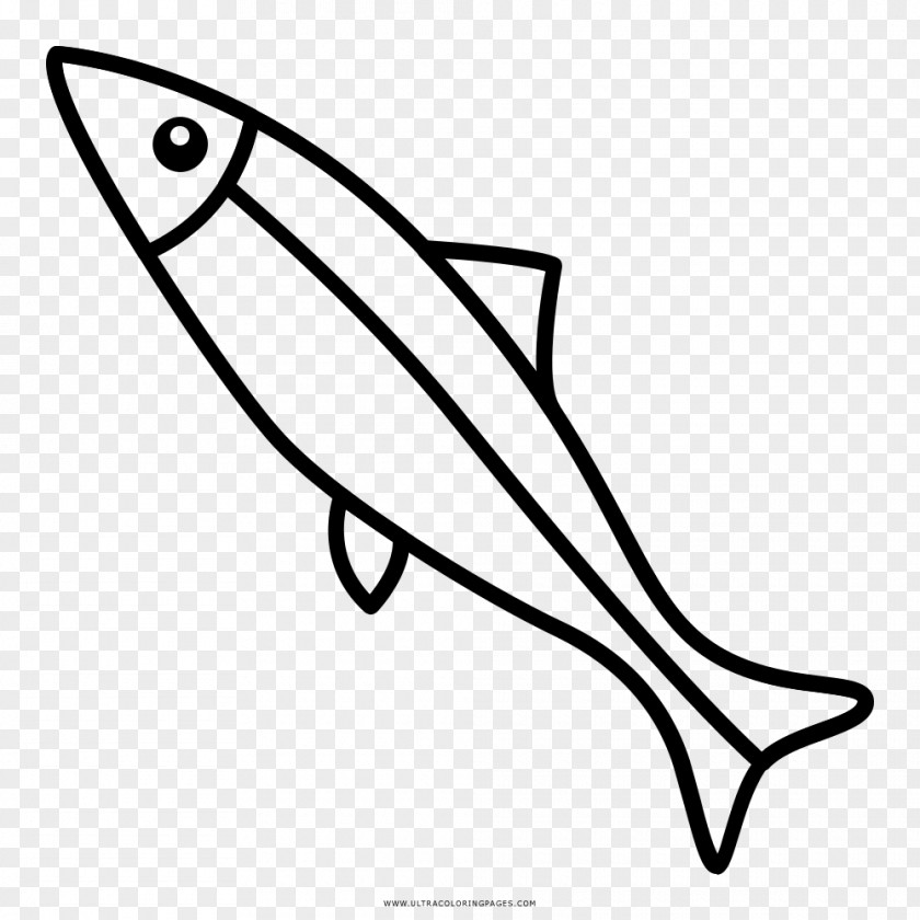 Painting Sardine Drawing Coloring Book European Anchovy PNG