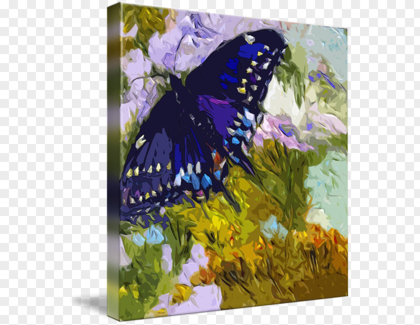 Watercolor Butterfly Oil Painting Abstract Art PNG