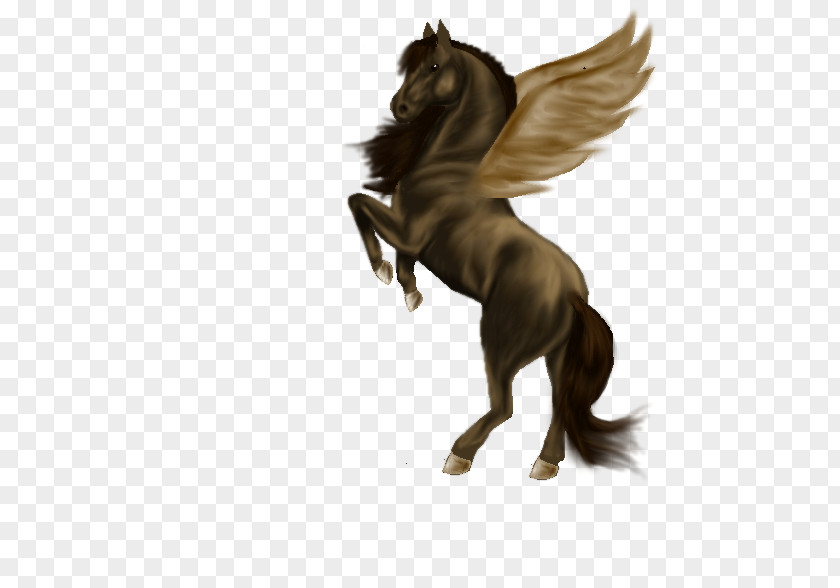 Mustang Mane Stallion Pony PNG