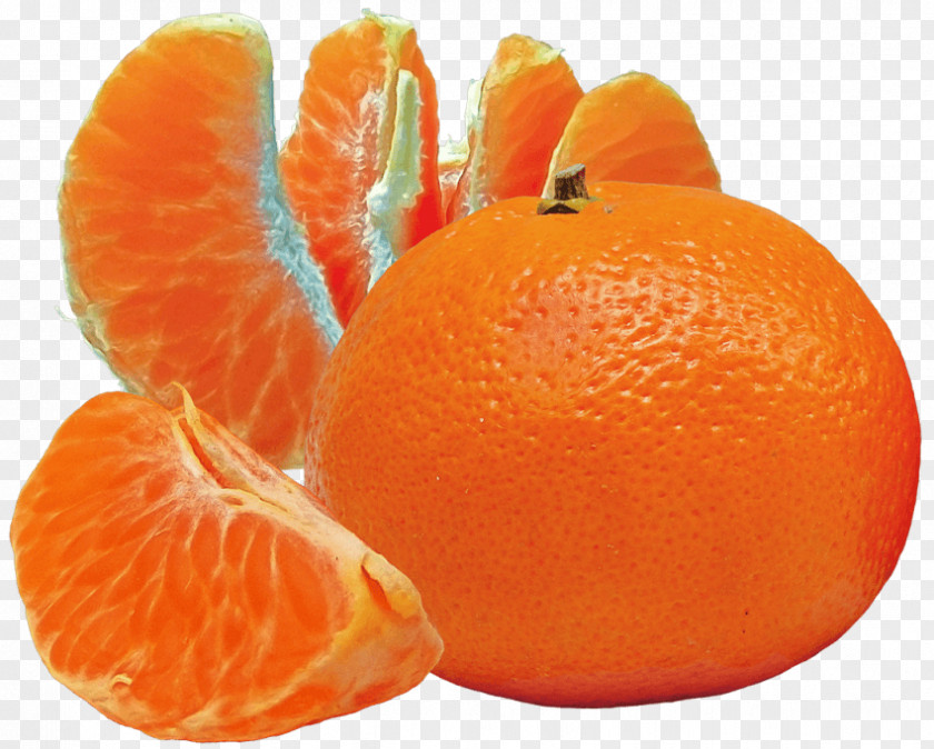 Orange PNG