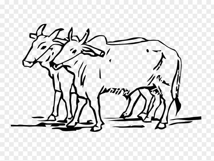 Ox Cattle Drawing Line Art Do Bailon Ki Katha PNG