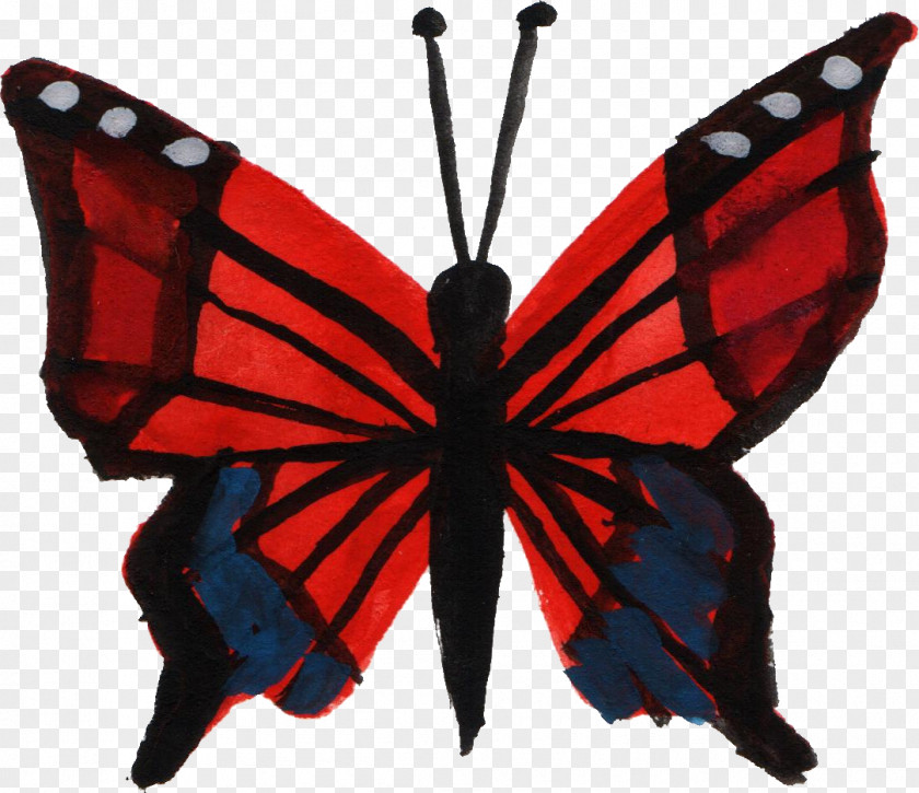 Watercolor Butterfly Insect Painting PNG