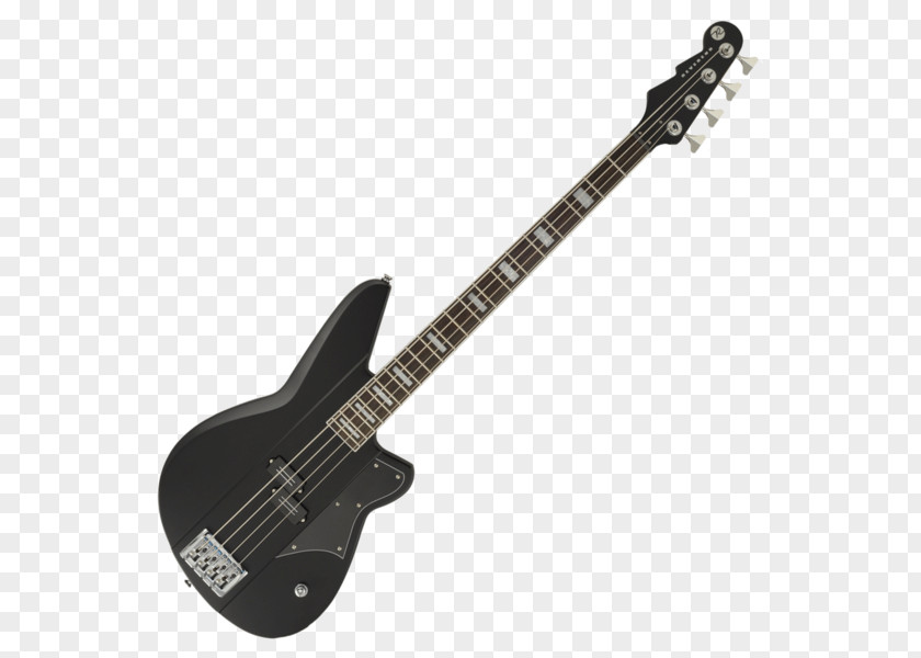 Bass Guitar Schecter Research Double String PNG