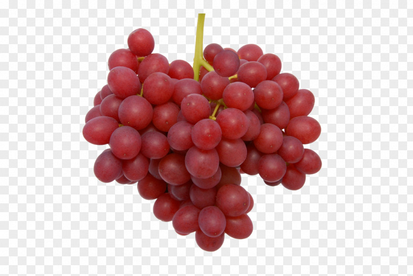 Brown Red Common Grape Vine Sultana Table Seedless Fruit PNG
