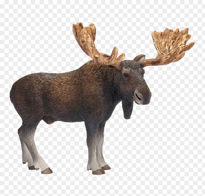 Elephant Ride Moose Amazon.com Toy Schleich Deer PNG