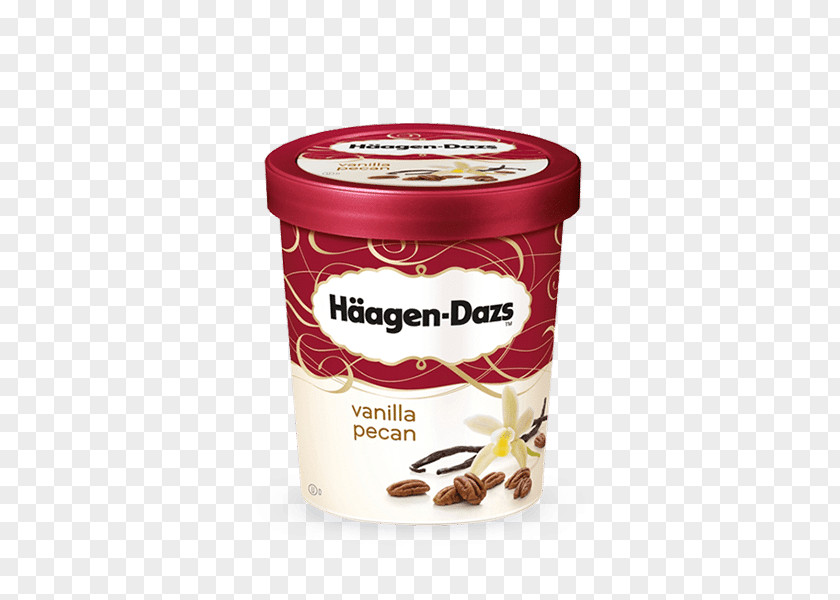 Ice Cream Chocolate Dulce De Leche Häagen-Dazs PNG
