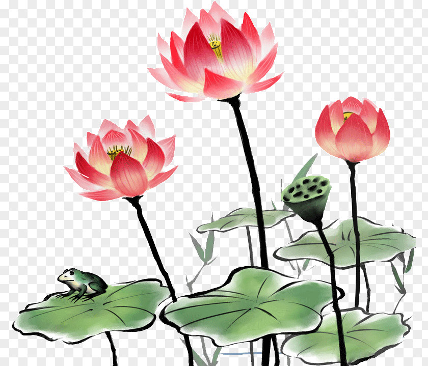 Lotus China Nelumbo Nucifera Ink Wash Painting Chinoiserie PNG