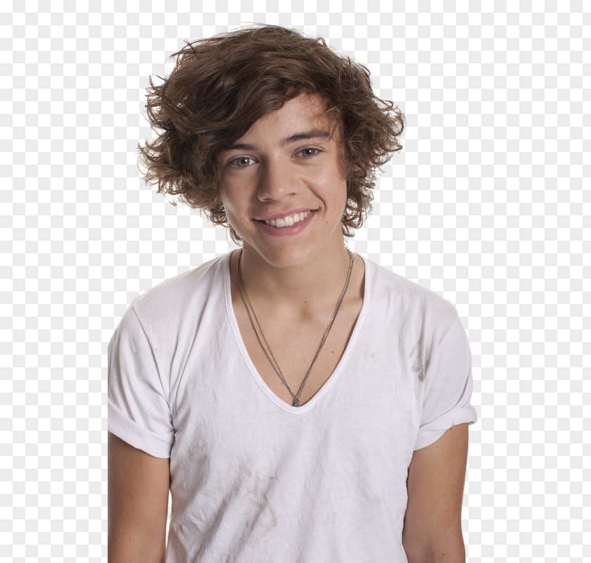 One Direction Harry Styles: Photo-Biography Image Clip Art PNG