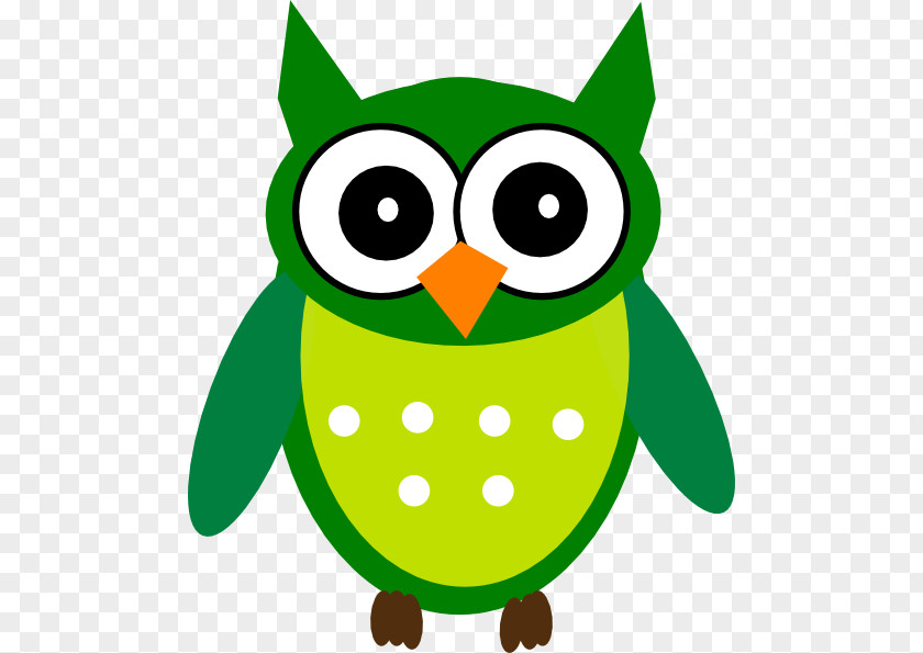 Owl Cartoon Bird Clip Art PNG