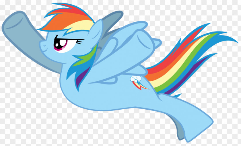 Rainbow Pony Dash PNG