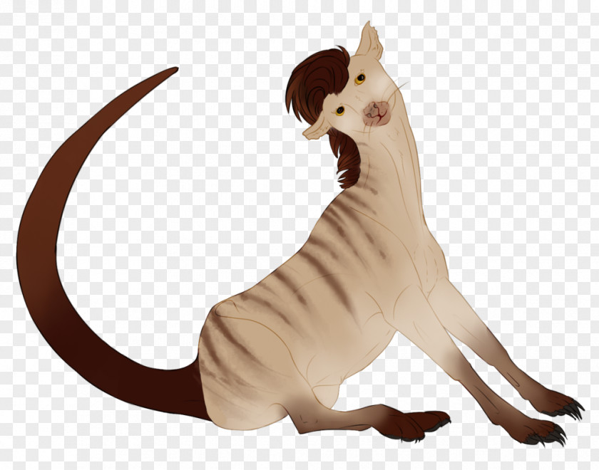 Cat Tail Wildlife Animal PNG