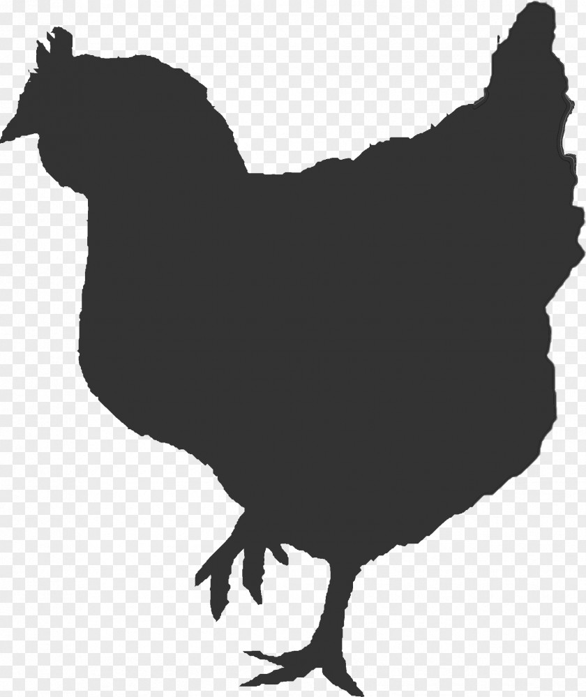 Chicken Rooster As Food Broiler Clip Art PNG
