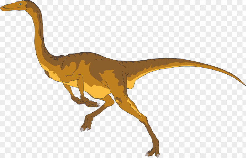 Dinosaur Gallimimus Tyrannosaurus Eousdryosaurus Late Cretaceous Ornithomimus PNG