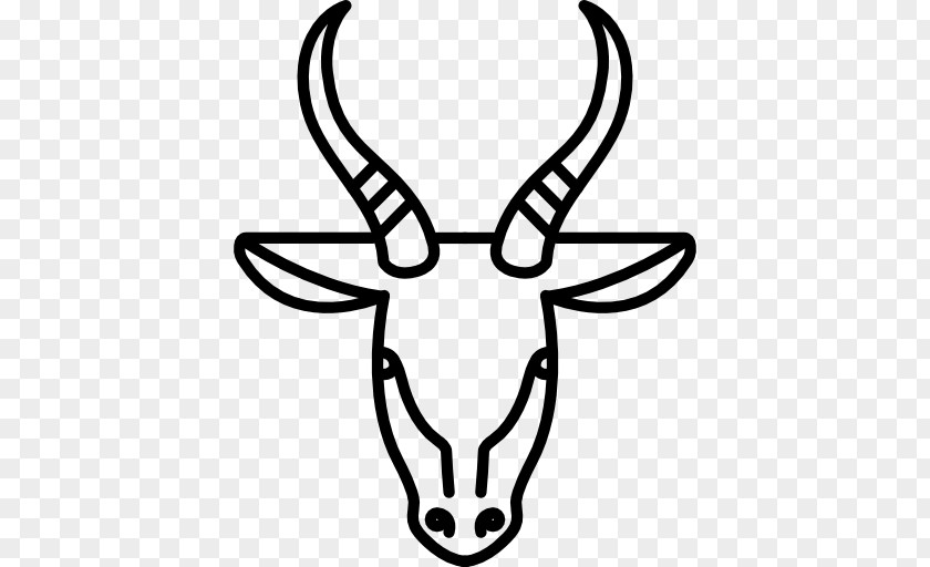 Gazelle Antelope Drawing Animal PNG
