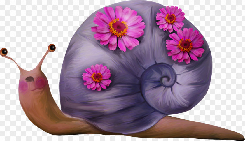Hand-painted Cartoon Snail Drawing Clip Art PNG