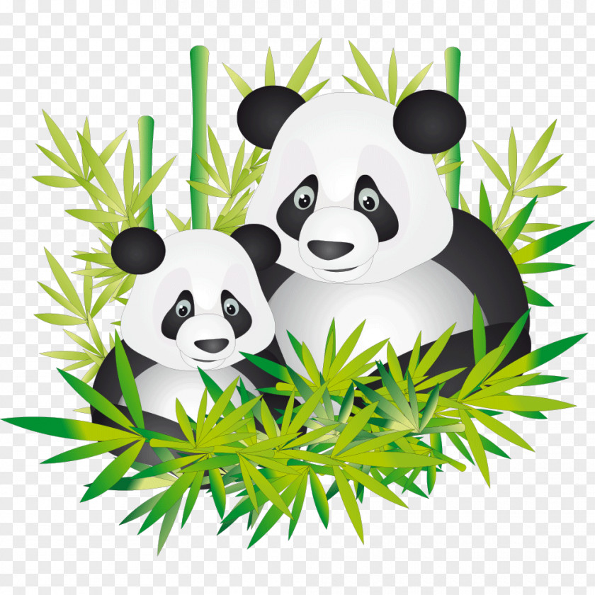 Panda PNG clipart PNG