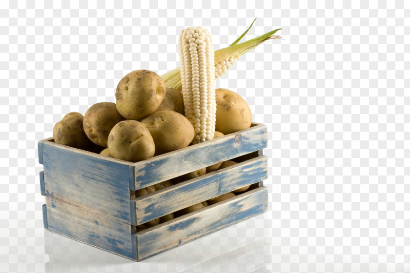 Potato Corn Maize PNG