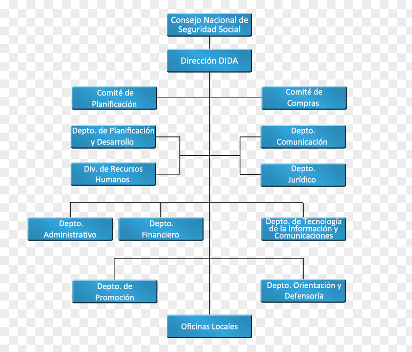 Transparency Organizational Chart Structure Institution System PNG