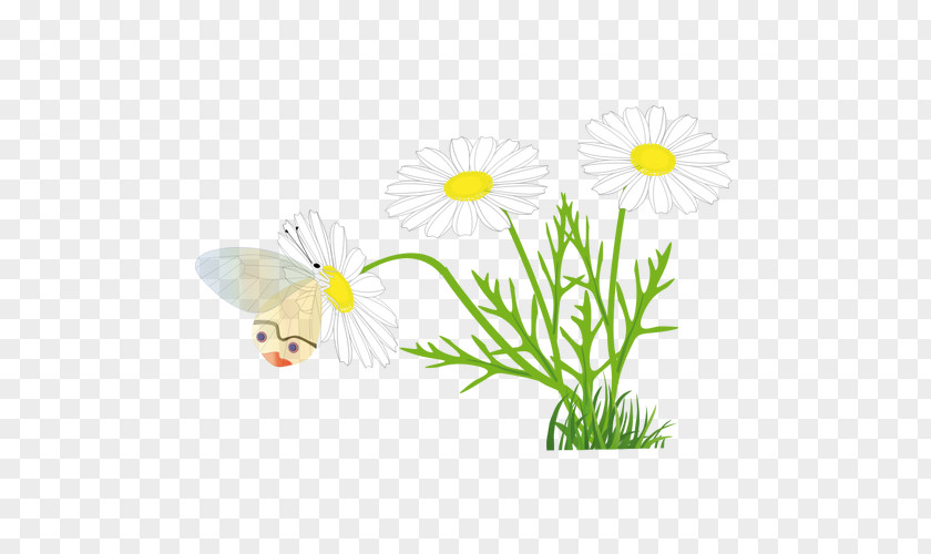 Transparent Daisy Cliparts Butterfly Free Content Clip Art PNG