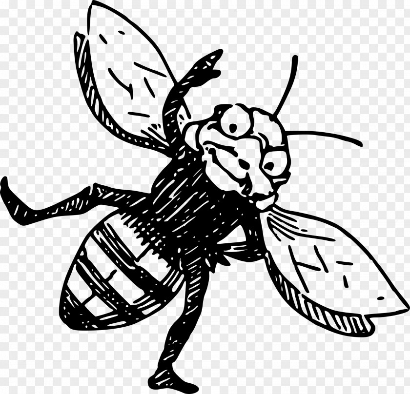 Bee Honey Insect PNG