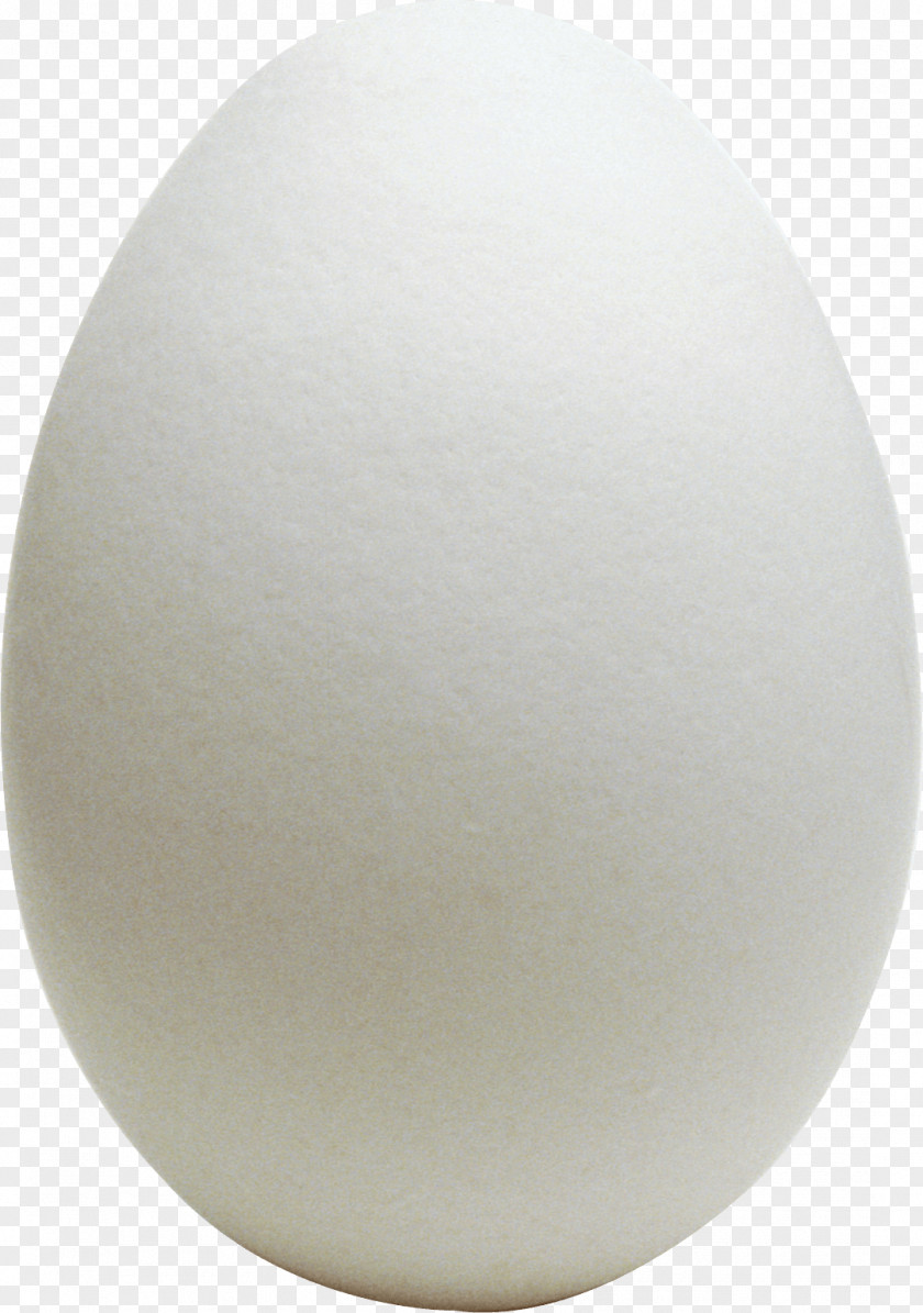 Boiled Egg Chicken PNG