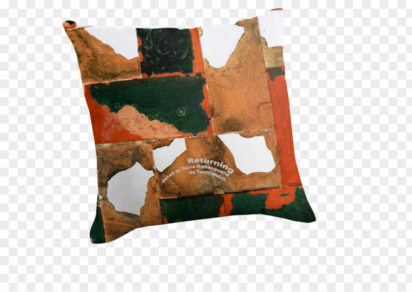 Creative Human Eye Throw Pillows Art Of Terrill Welch Gallery Cushion Bellesguard PNG