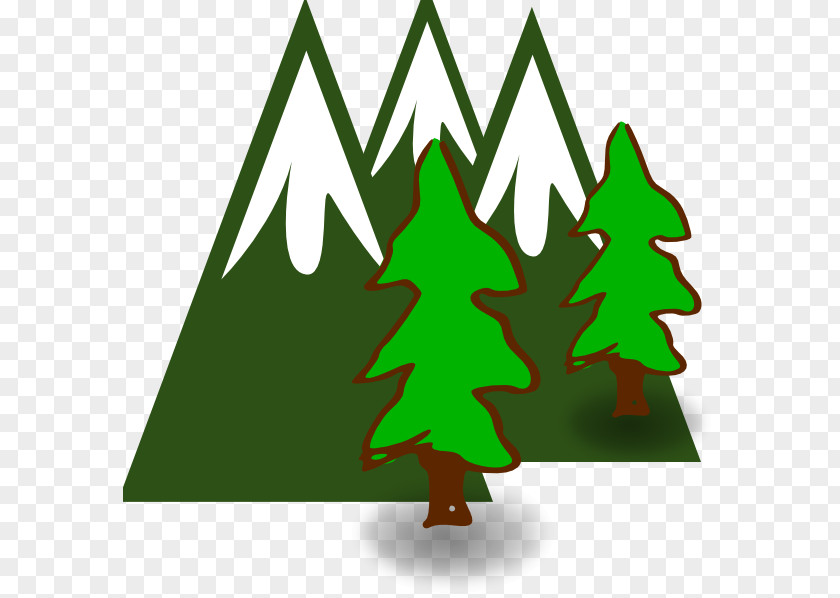 Evergreen Clip Art PNG