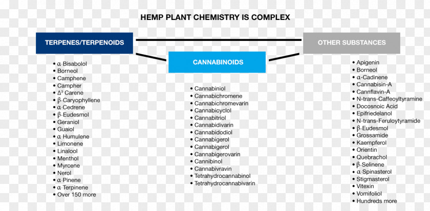 Hemp Plant Medicine Cannabinoid Cannabigerovarin Science Therapy PNG