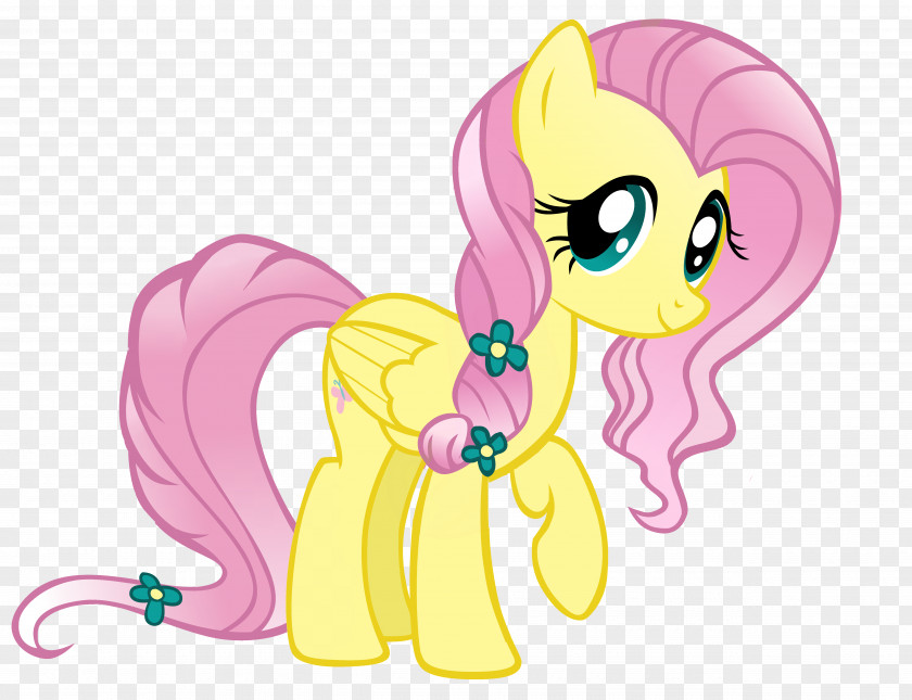My Little Pony Fluttershy Twilight Sparkle Applejack Rainbow Dash PNG