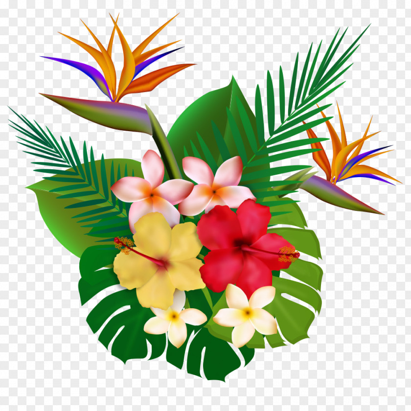 Tropical Plants PNG plants clipart PNG