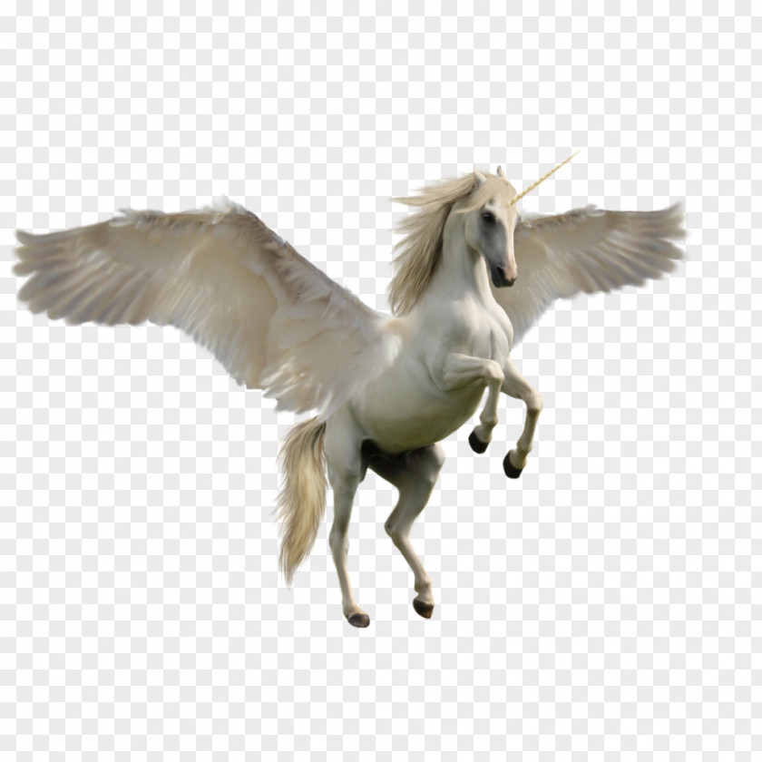 Unicorn Clip Art PNG