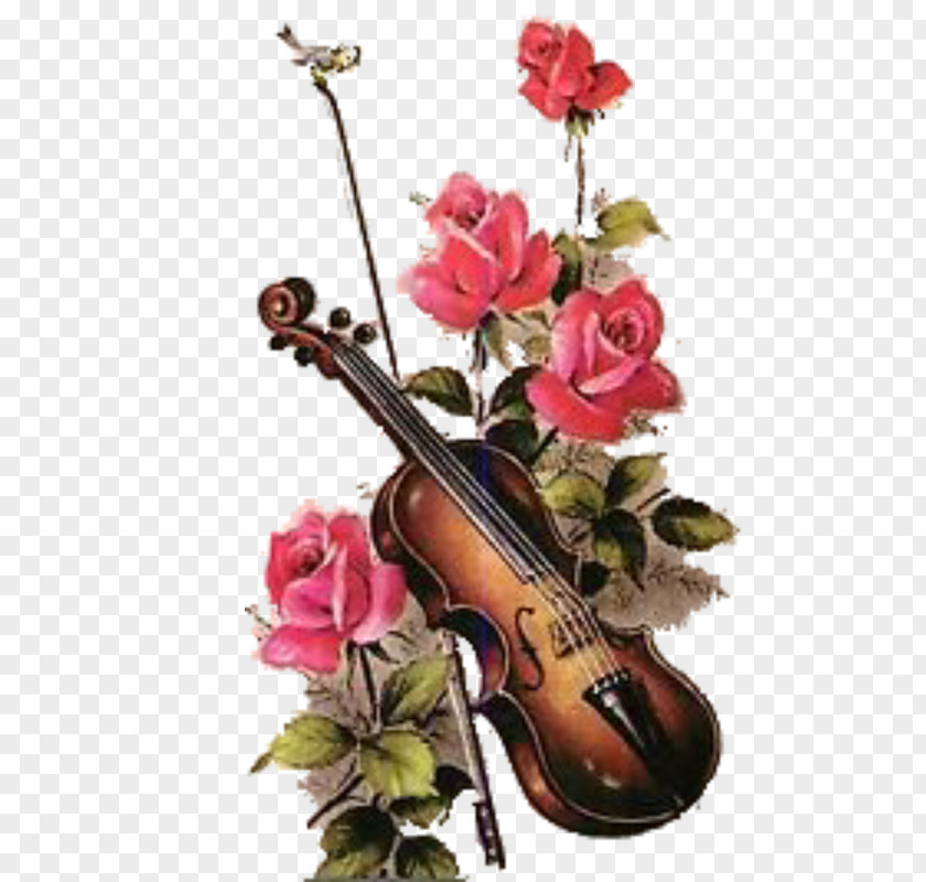 Violin Floral Design Cello Drawing Royalty-free PNG