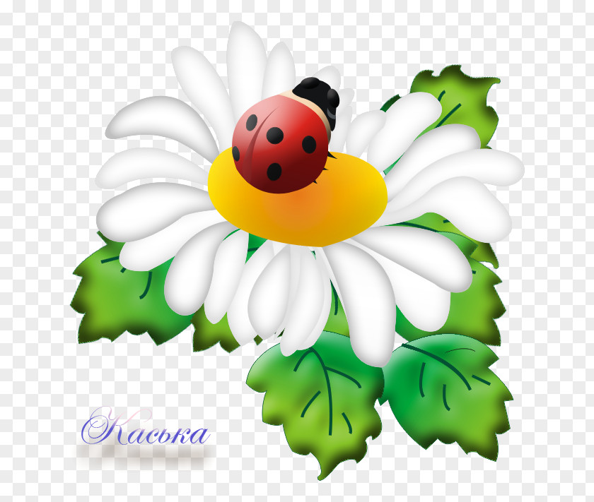 Birthday Daytime Spring Първа пролет BG-Mamma PNG BG-Mamma, clipart PNG