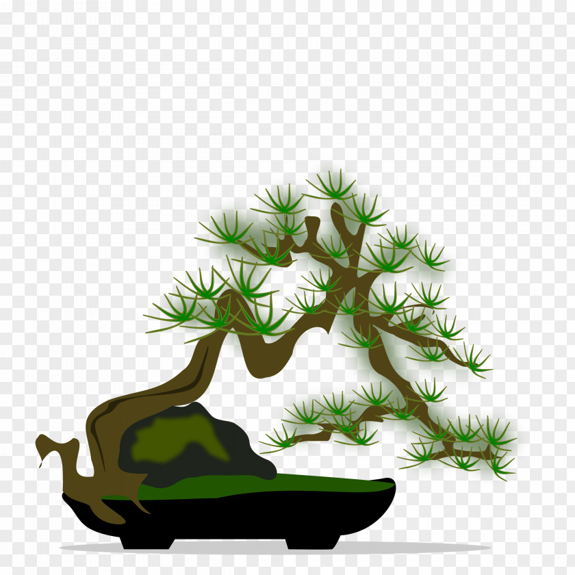 Bonsai National Foundation Tree Clip Art PNG