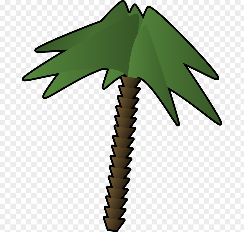 Date Palm Drawing Clip Art PNG