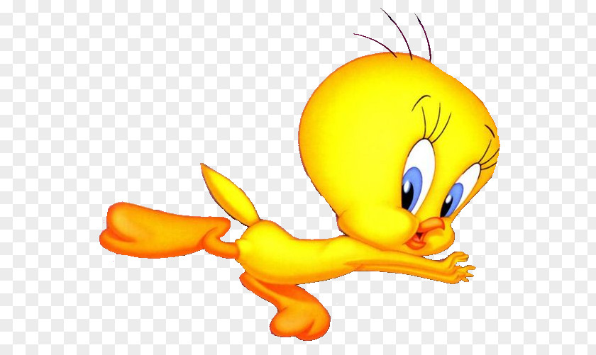 Duck Tweety Cartoon Clip Art PNG