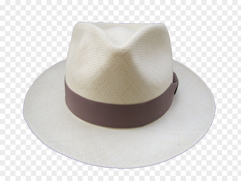 Fedora PNG